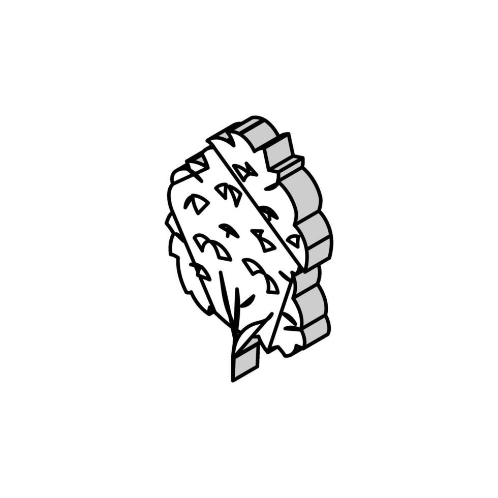 kauri tree jungle amazon isometric icon vector illustration