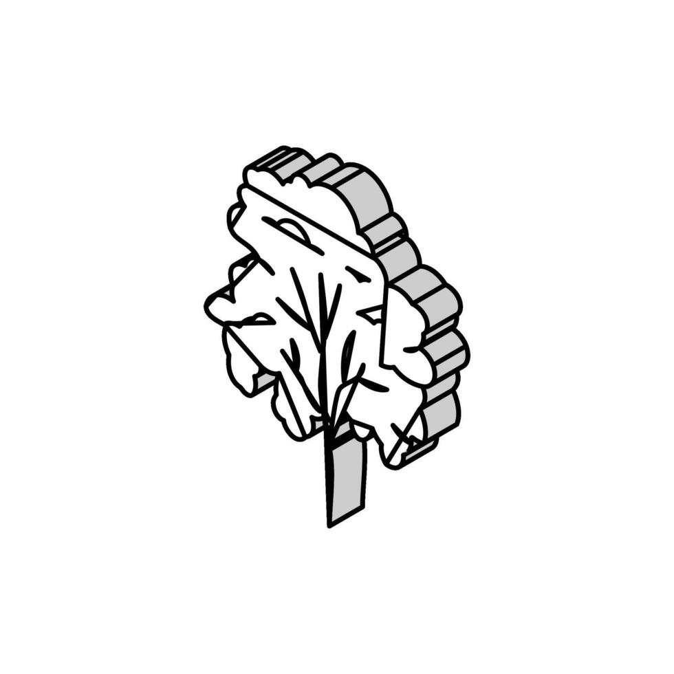 padauk tree jungle amazon isometric icon vector illustration