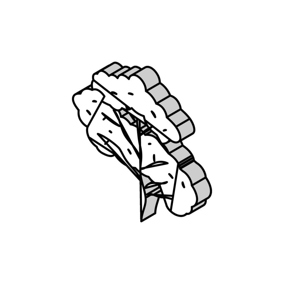 balsa jungle amazon isometric icon vector illustration