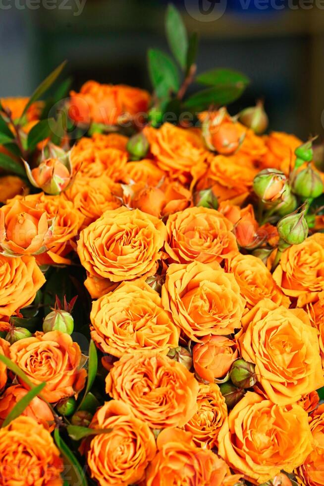 Vibrant Orange Rose Bouquet With Green Leaves photo
