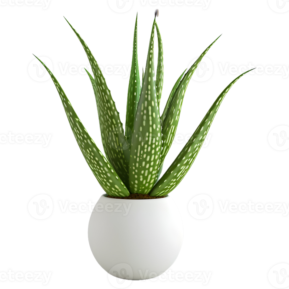 AI generated 3D Rendering of a Aloe Vera Plant on Transparent Background - Ai Generated png