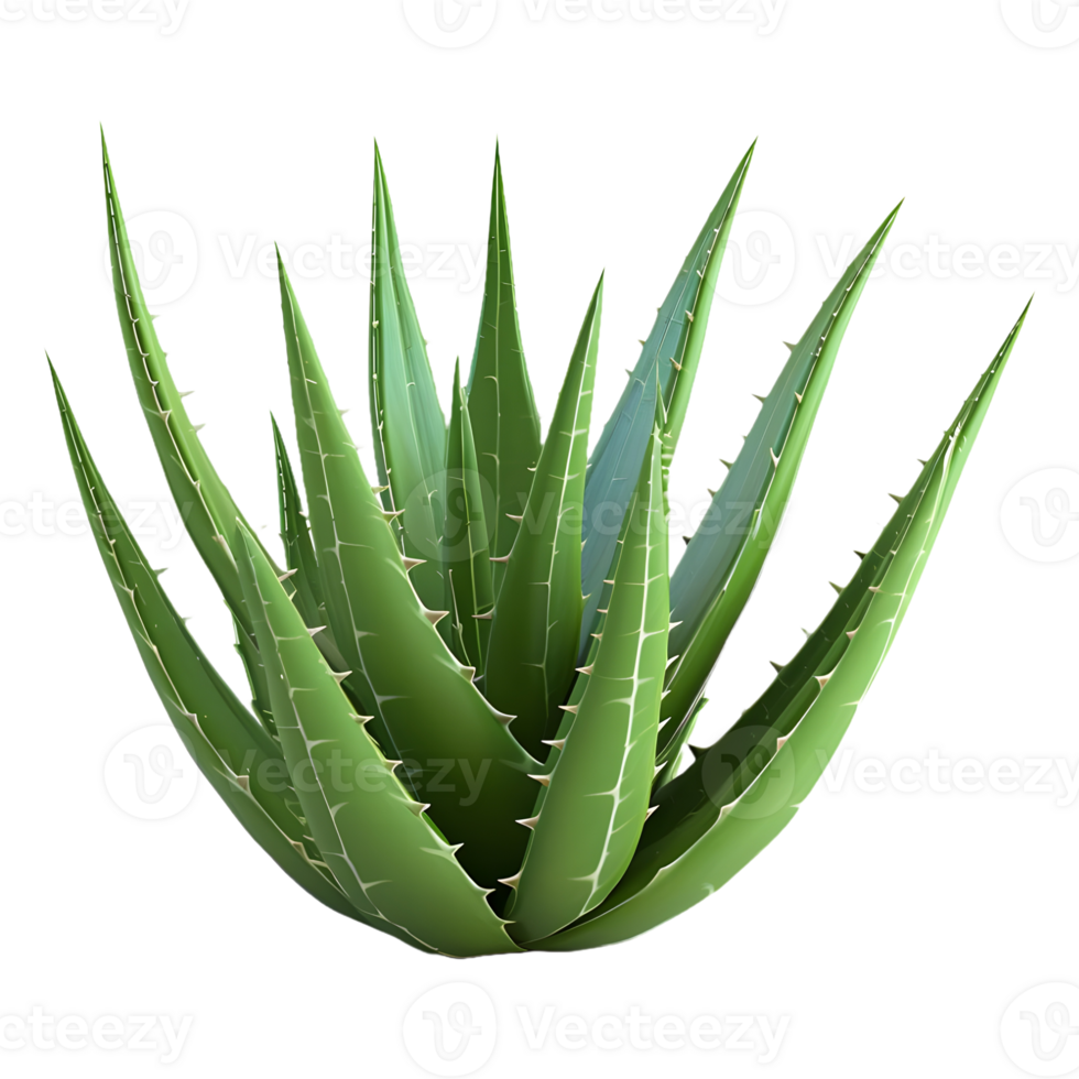 ai generato 3d interpretazione di un' aloe Vera pianta su trasparente sfondo - ai generato png