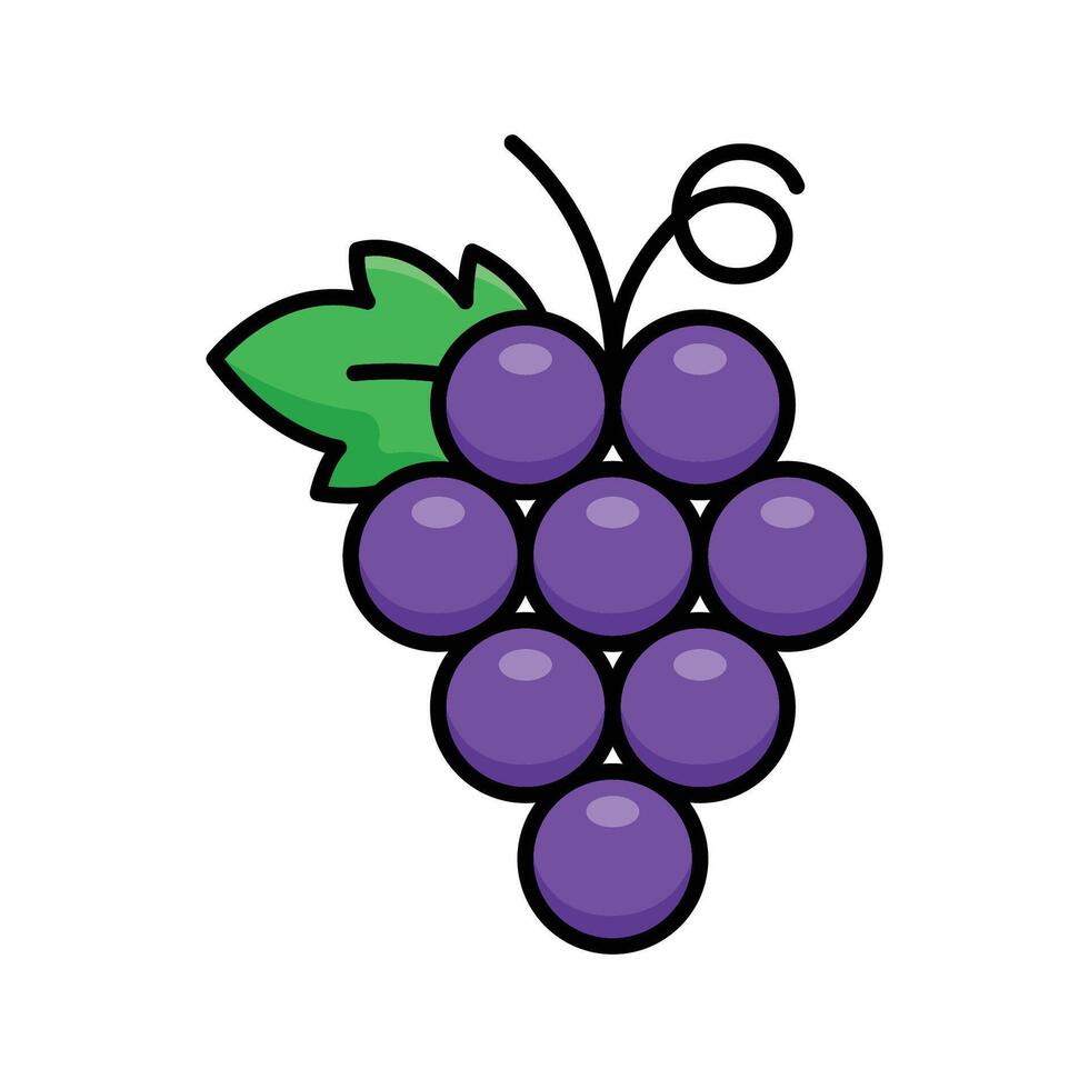 grapes icon vector design template in white background