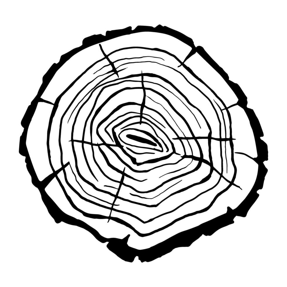 Wood Slice icon vector. Wood Rings illustration sign. Tree symbol. Sawmill logo. vector