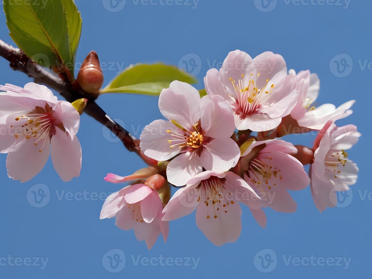 AI generated a branch of pink flowers against a blue sky photo