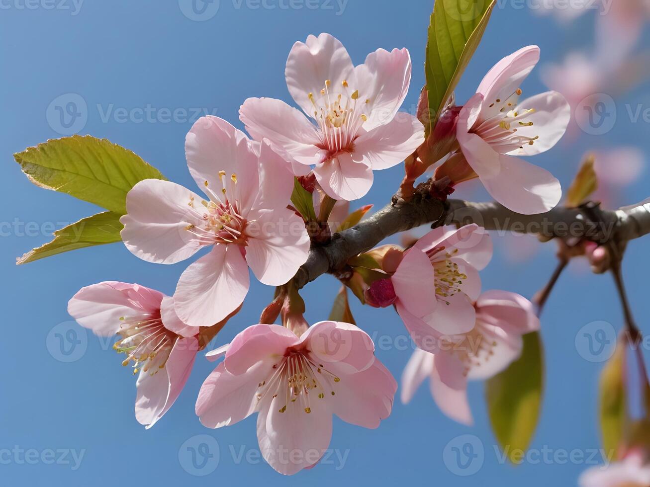 AI generated cherry blossoms on a tree photo