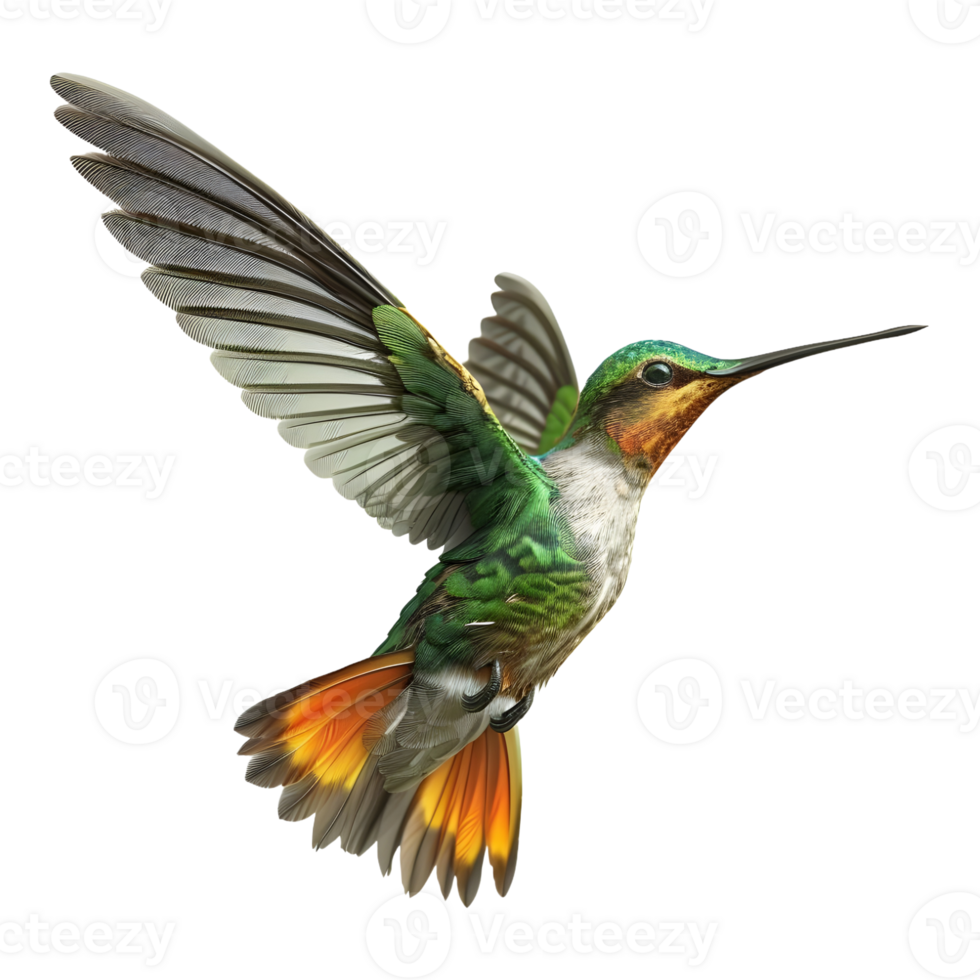 AI generated 3D Rendering of a Hummingbird on Transparent Background - Ai Generated png