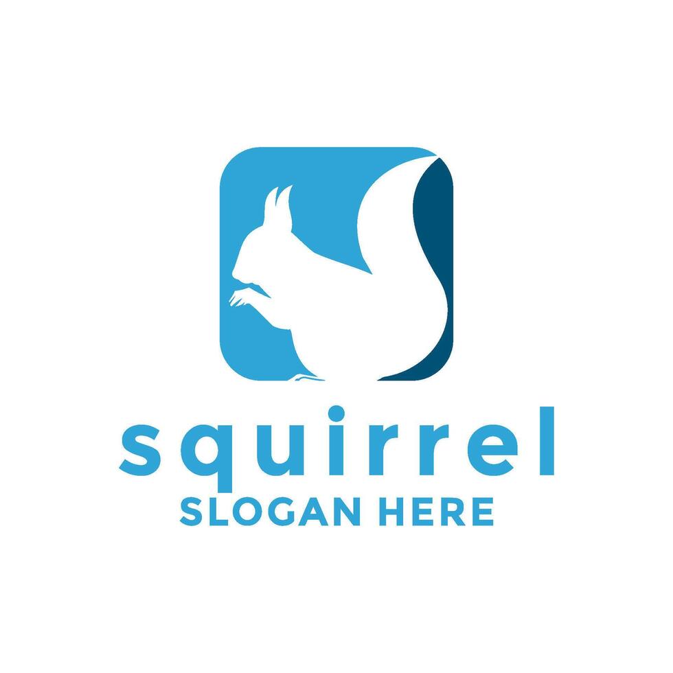 Squirrel logo design template, Vector illustration