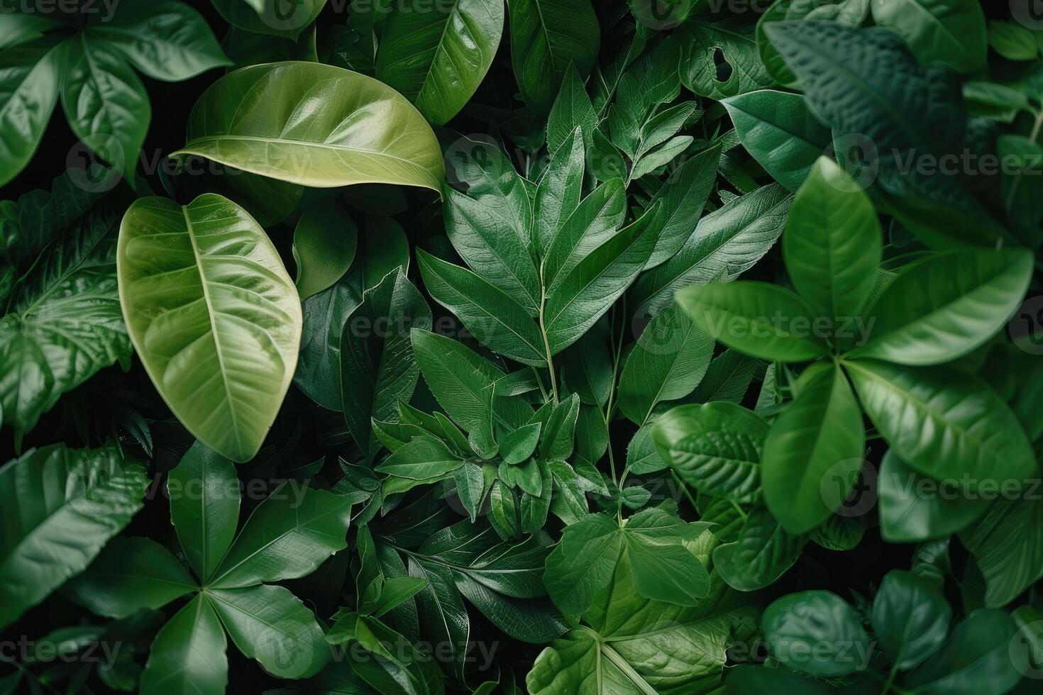 AI generated Tropical Leaves Foliage Plant Bush professional photography photo