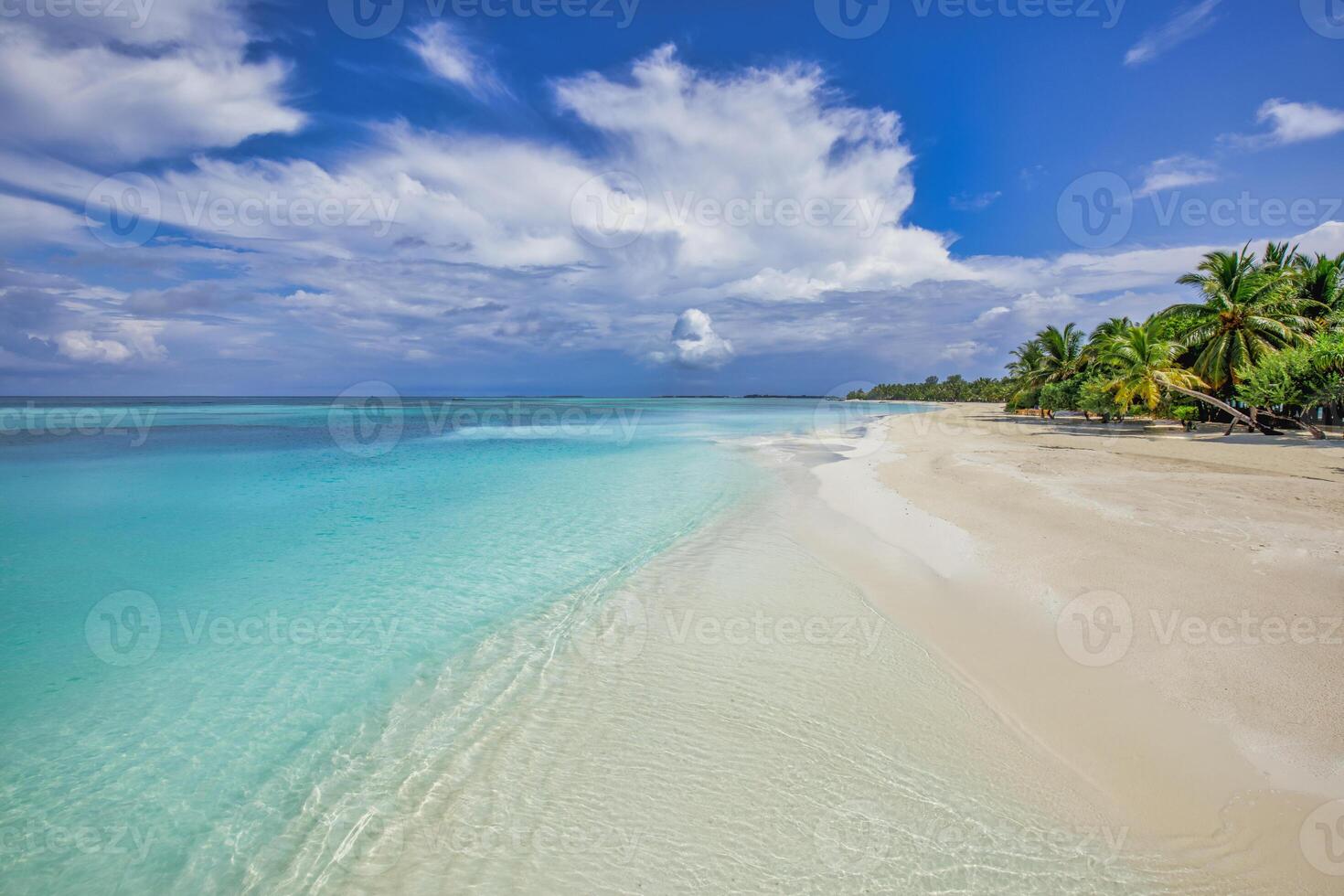 Beautiful beach with palm trees and moody sky. Summer vacation travel holiday background concept. Maldives paradise beach. Luxury travel summer holiday background concept. photo