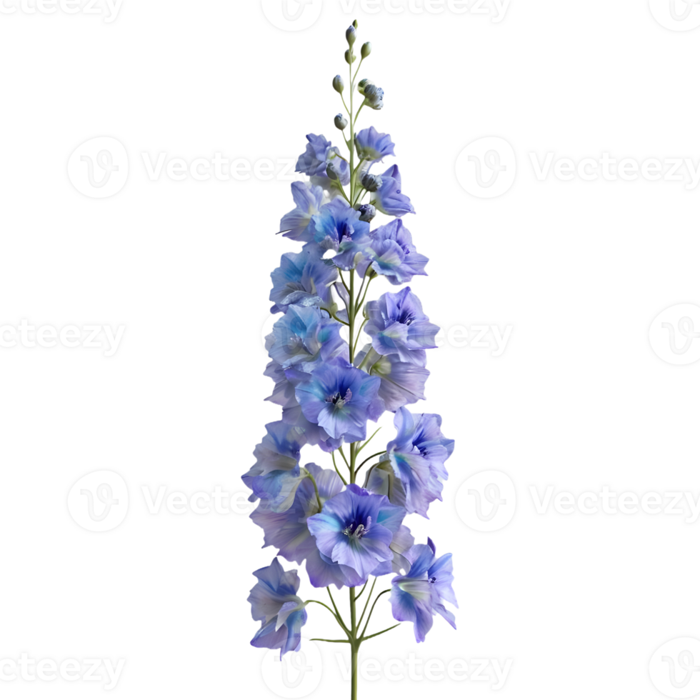 AI generated Delphinium Flower on Transparent background - Ai Generated png