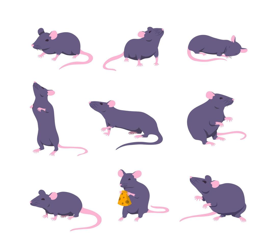 Cartoon Color Mouse and Rat Set. Vector