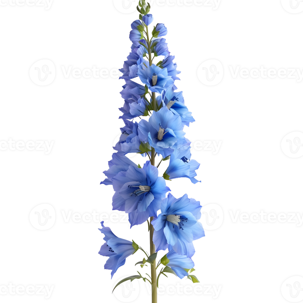 AI generated Delphinium Flower on Transparent background - Ai Generated png