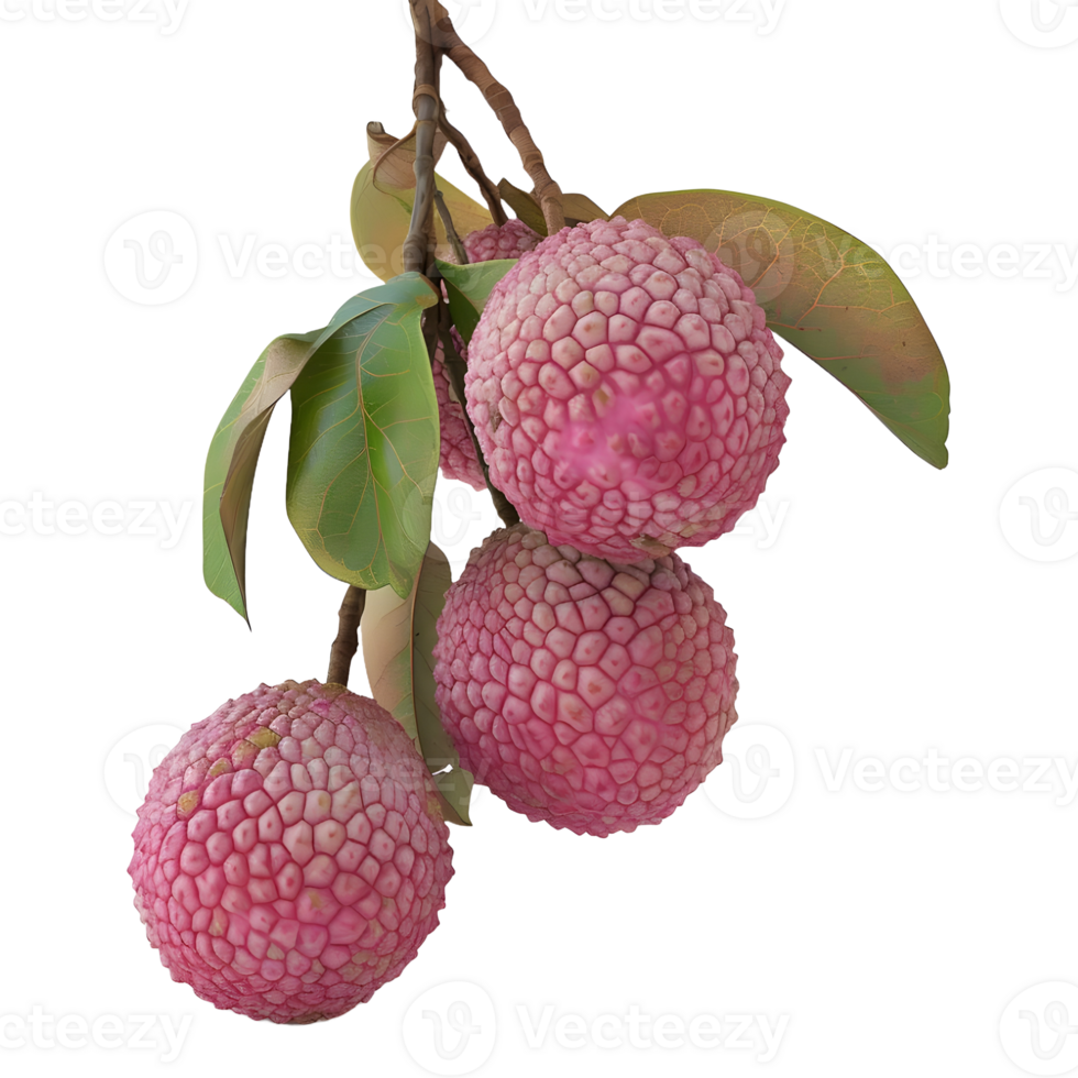 AI generated Lychee on Transparent background - Ai Generated png