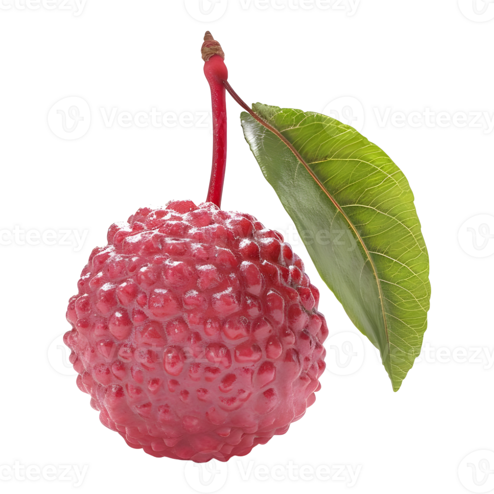 AI generated Lychee on Transparent background - Ai Generated png