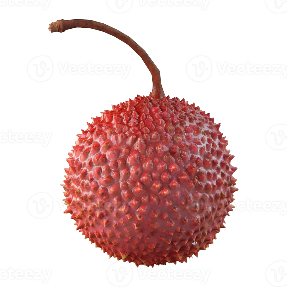 AI generated Lychee on Transparent background - Ai Generated png