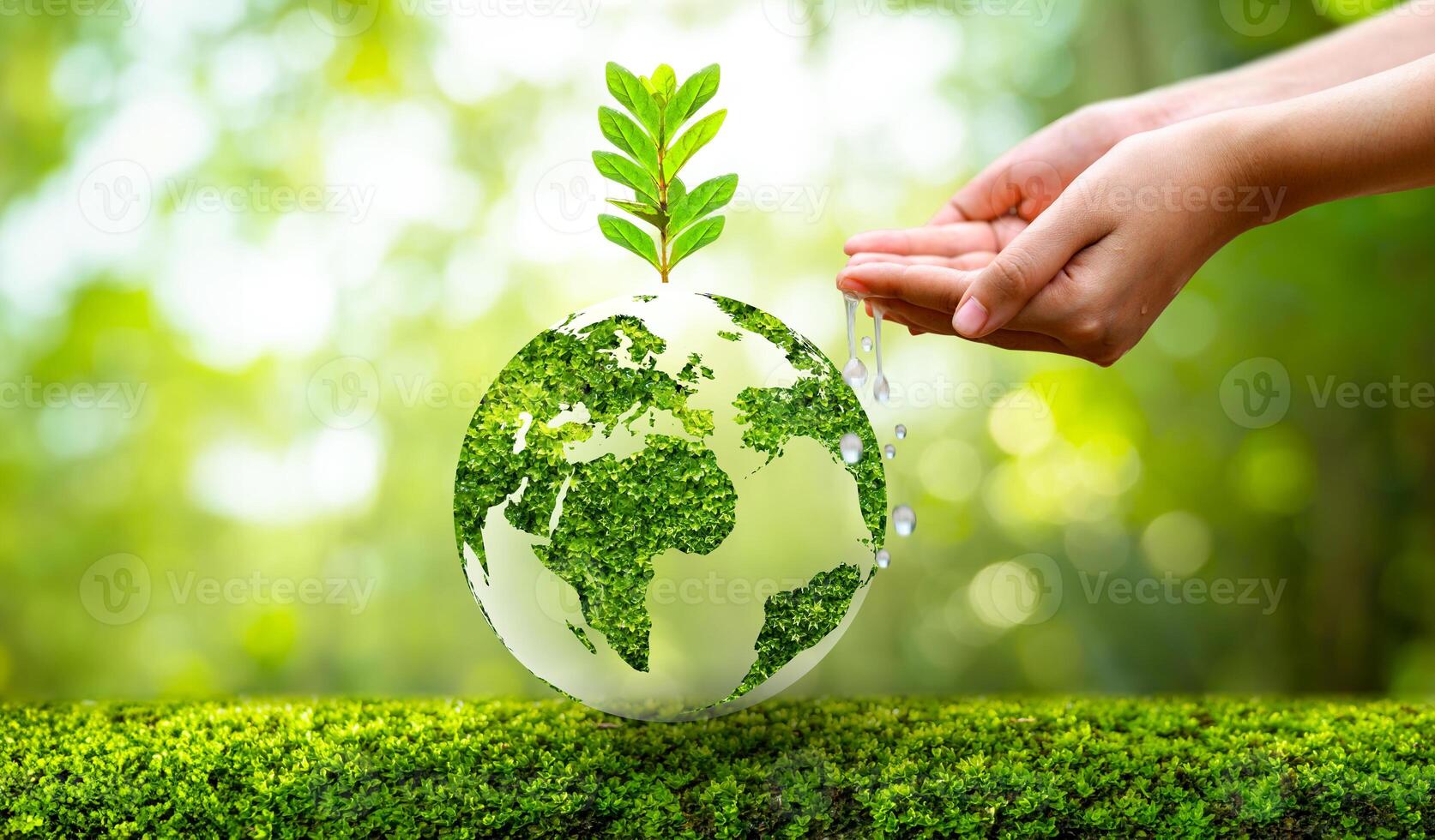 environment Earth Day In the hands of trees growing seedlings. Bokeh green Background Female hand holding tree on nature field grass Forest conservation concept photo