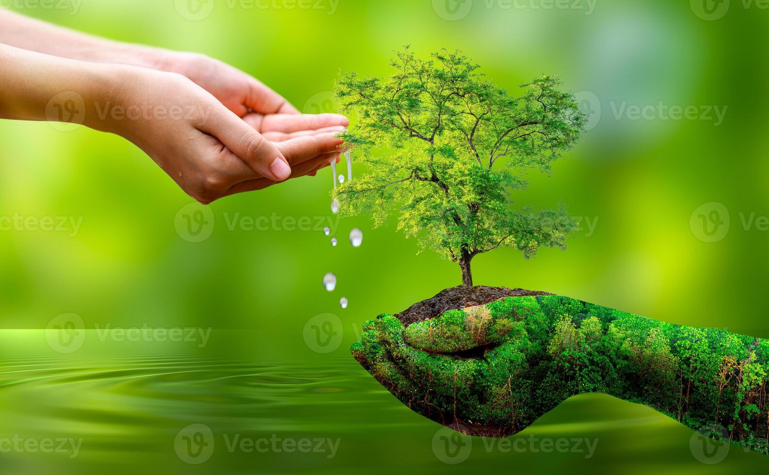 Concept Save the world save environment The world is in the grass of the green bokeh background photo