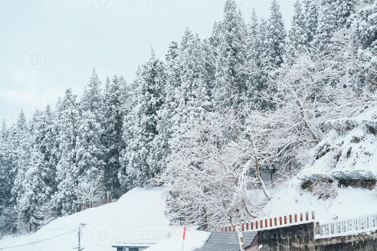 Beautiful view of Ginzan Onsen village with snow fall in winter season is most famous Japanese Hot Spring in Yamagata, Japan. photo