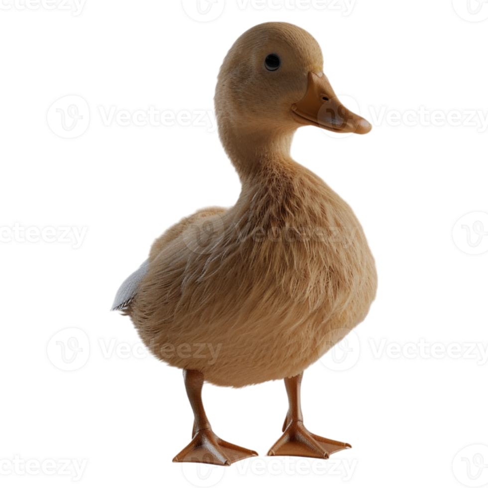 AI generated 3D Rendering of a Beautiful Duck on Transparent Background - Ai Generated png