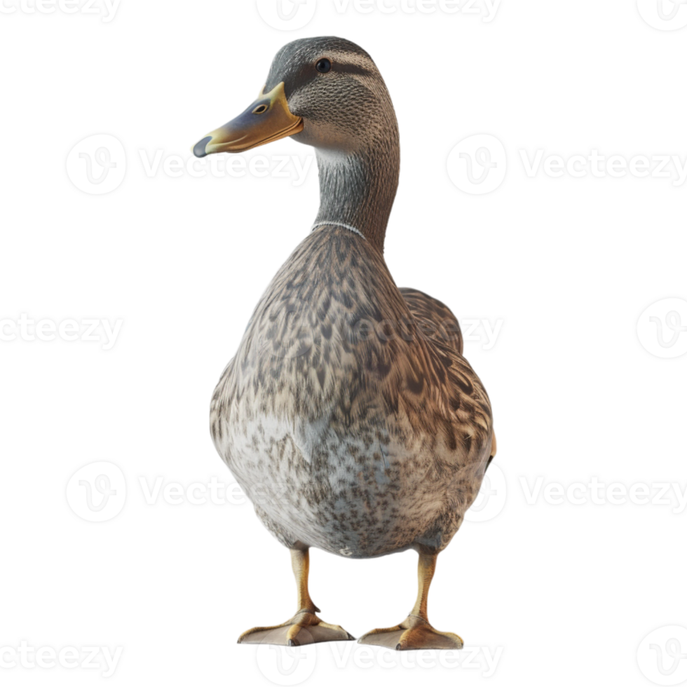 AI generated 3D Rendering of a Beautiful Duck on Transparent Background - Ai Generated png