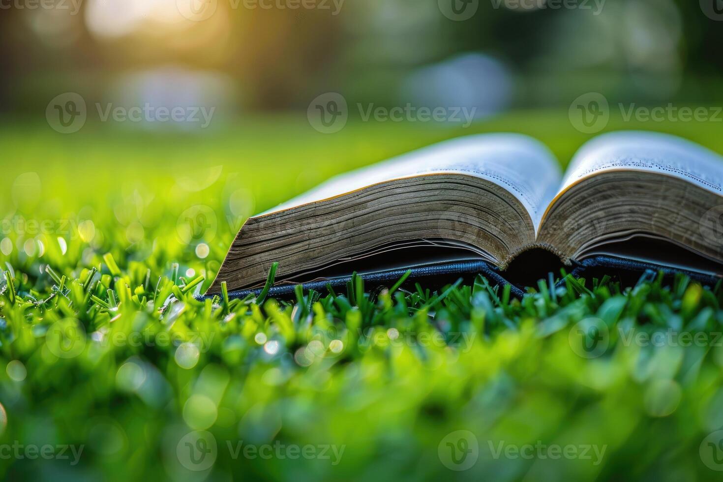 AI generated A blanket and a book under a tree in a sunny spring park professional photography photo