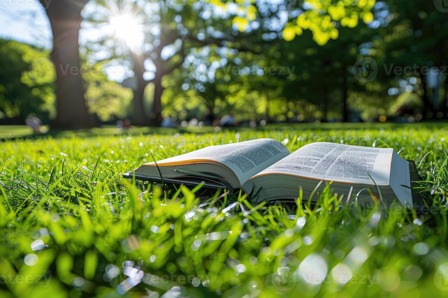 AI generated A blanket and a book under a tree in a sunny spring park professional photography photo