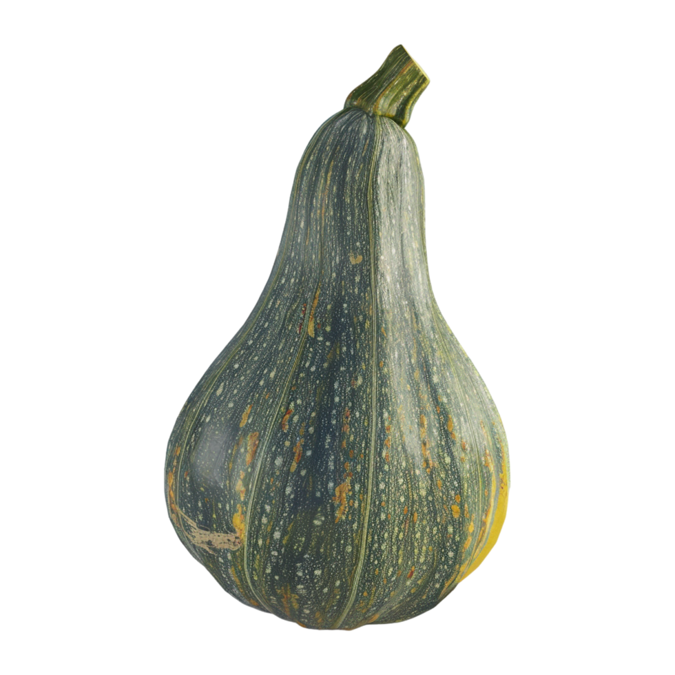 AI generated 3D Rendering of a Loci Vegetable on Transparent Background - Ai Generated png