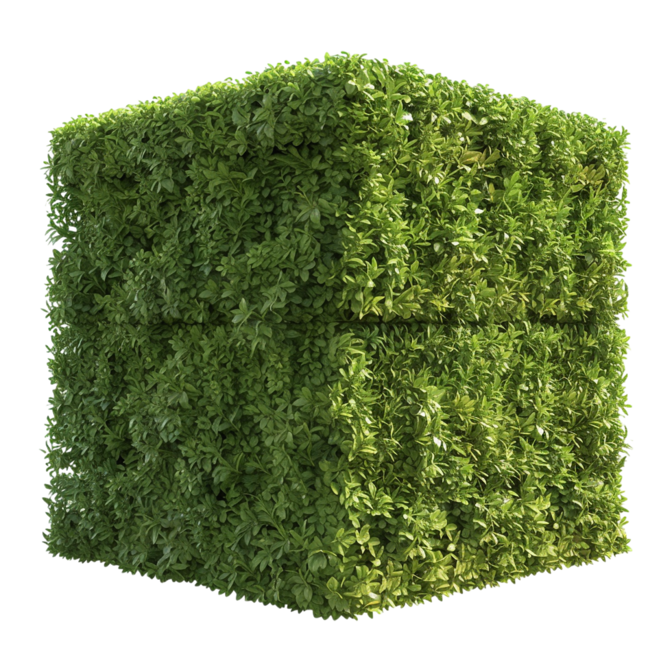 AI generated 3D Rendering of a Grass Cutting in a Square Shape on Transparent Background - Ai Generated png