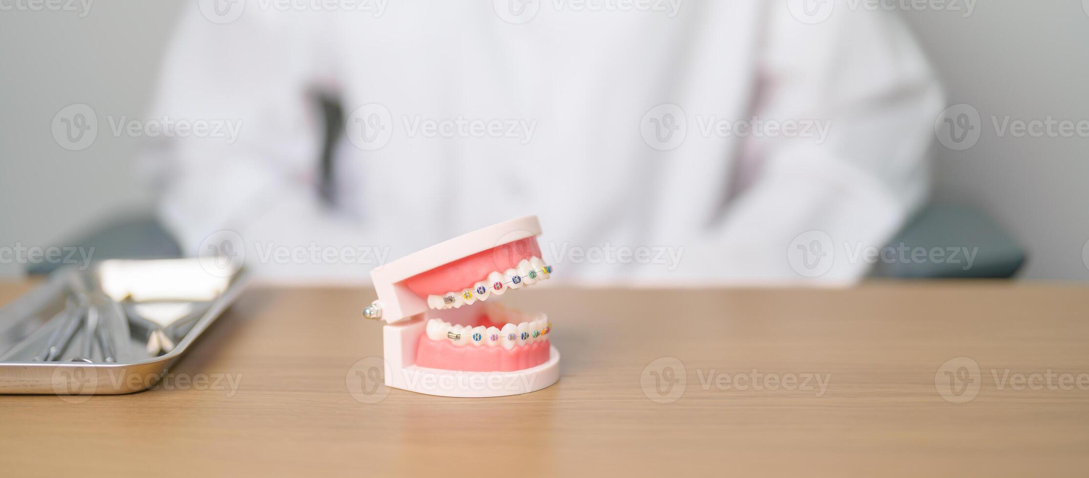 Dentist with Orthodontic tooth model and bracket or brace. Clean and Scrape off tartar. May Orthodontic Health Day, March Oral health, Dentist Day, False Teeth. Toothache and Children Dental Health photo