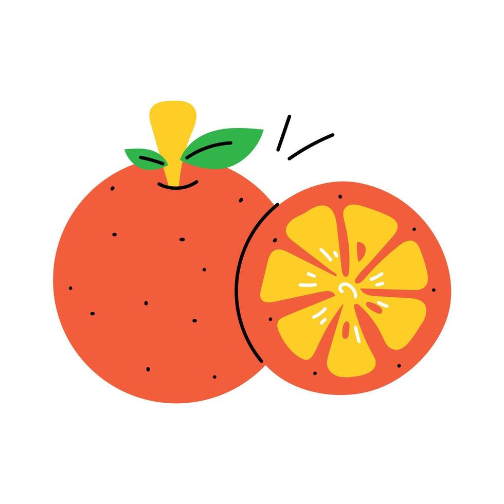 Trendy Orange Fruit vector