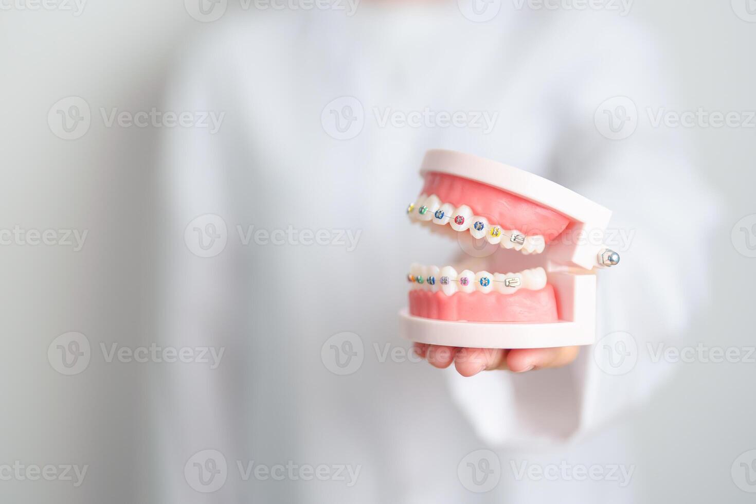 Dentist with Orthodontic tooth model and bracket or brace. Clean and Scrape off tartar. May Orthodontic Health Day, March Oral health, Dentist Day, False Teeth. Toothache and Children Dental Health photo