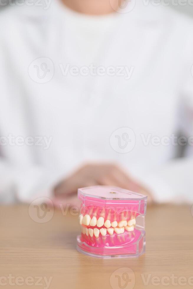 dentista con diente anatomía modelo. oral dientes y enfermedad, raspar apagado sarro. marzo oral salud, dentista día, falso dientes. dolor de muelas y niños dental salud mes y ortodoncia salud día foto