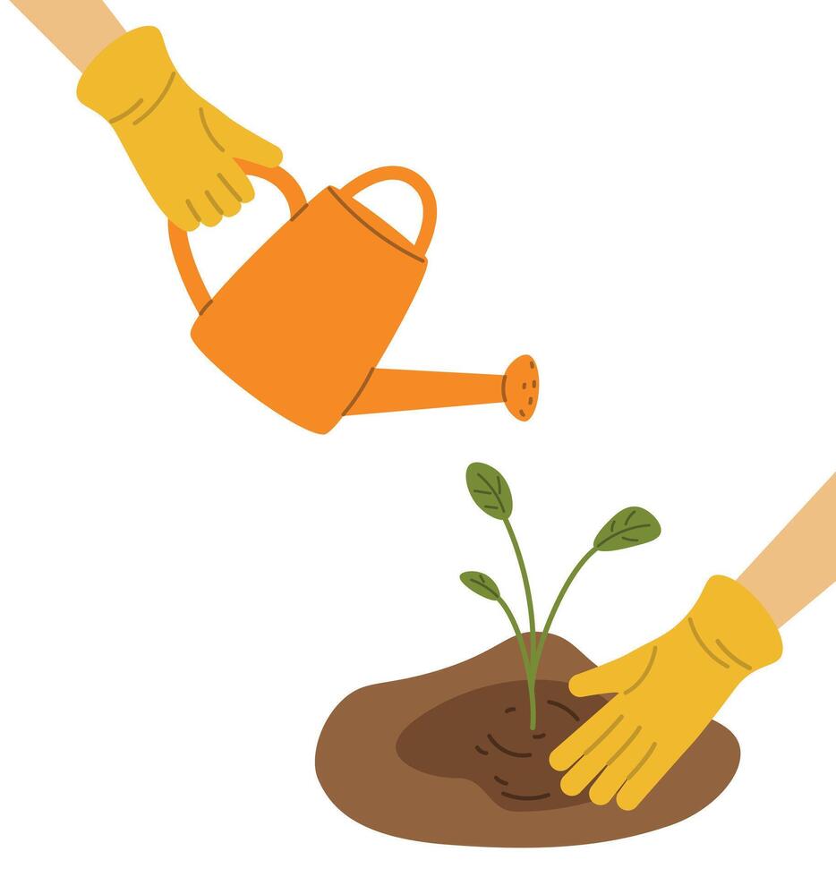 Watering a plant from a garden watering can, gardening concept, growing a plant, flat vector illustration