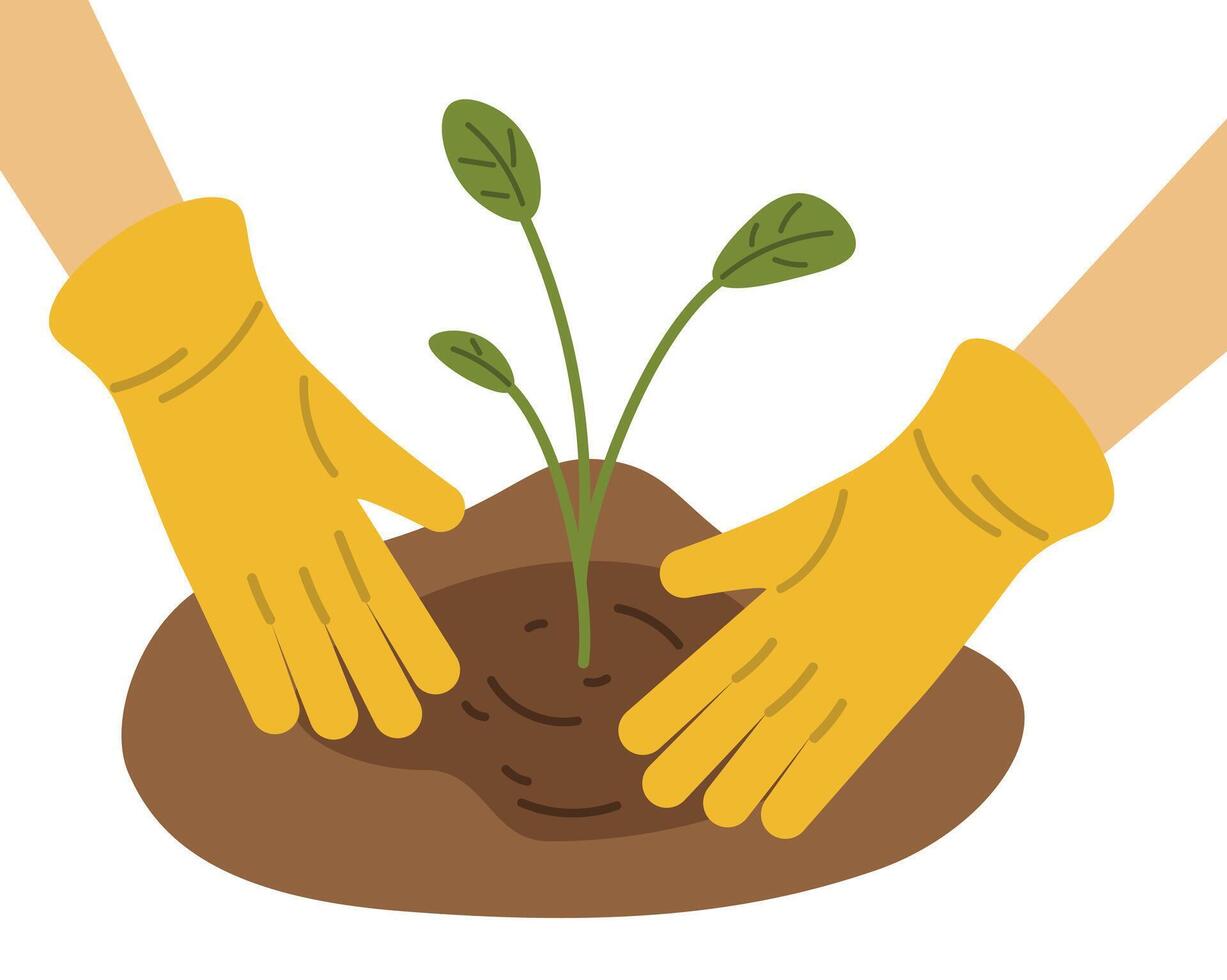 manos en amarillo caucho guantes planta un planta en el suelo, jardinería concepto, plano vector ilustración