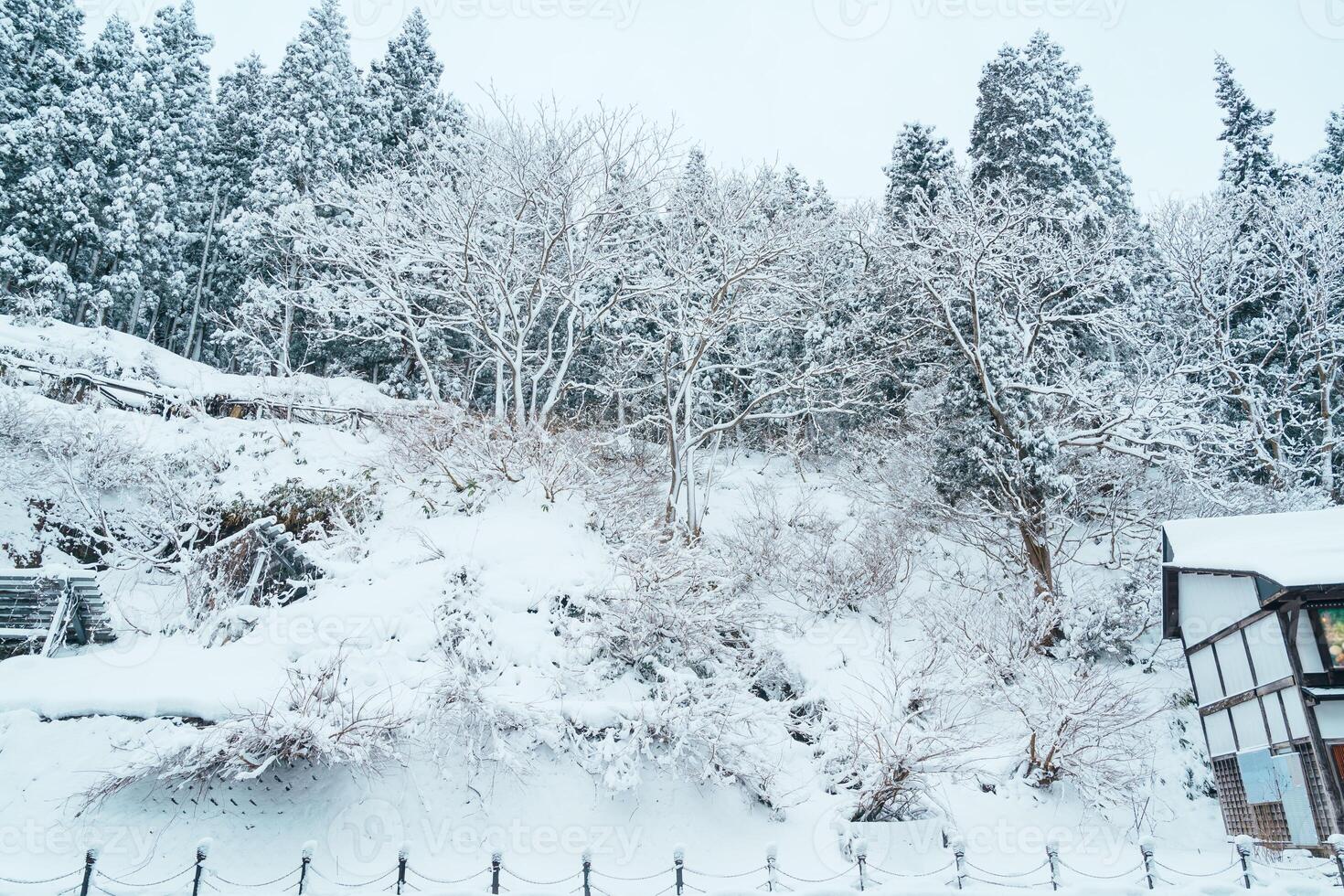 hermosa ver de ginzan onsen pueblo con nieve otoño en invierno temporada es más famoso japonés caliente primavera en yamagata, Japón. foto