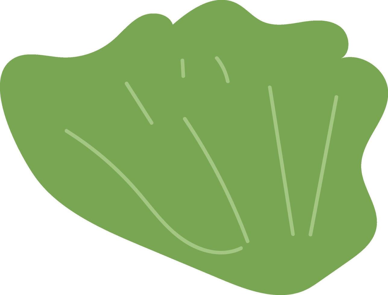 a green leaf with a white background vector