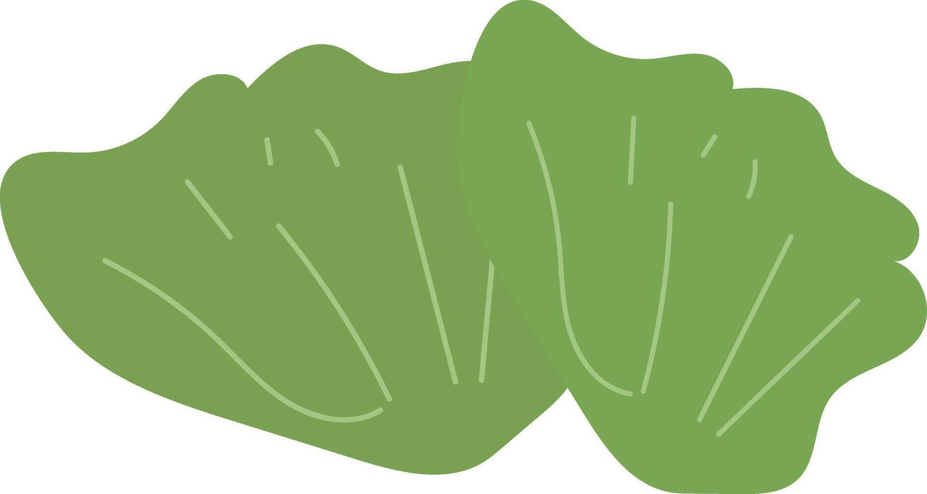 green leafy vegetable vector illustration design