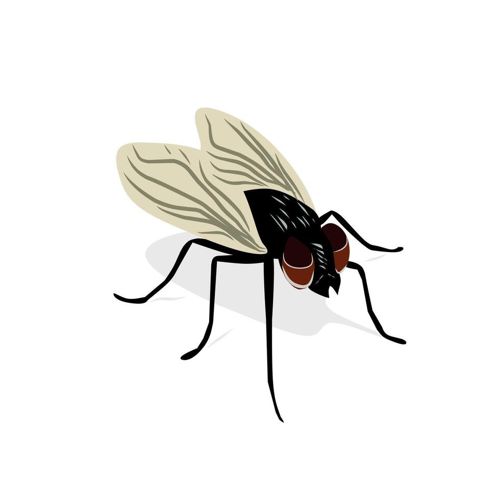 Animal insect design vector