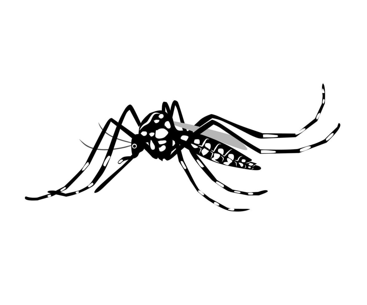 Animal insect design vector