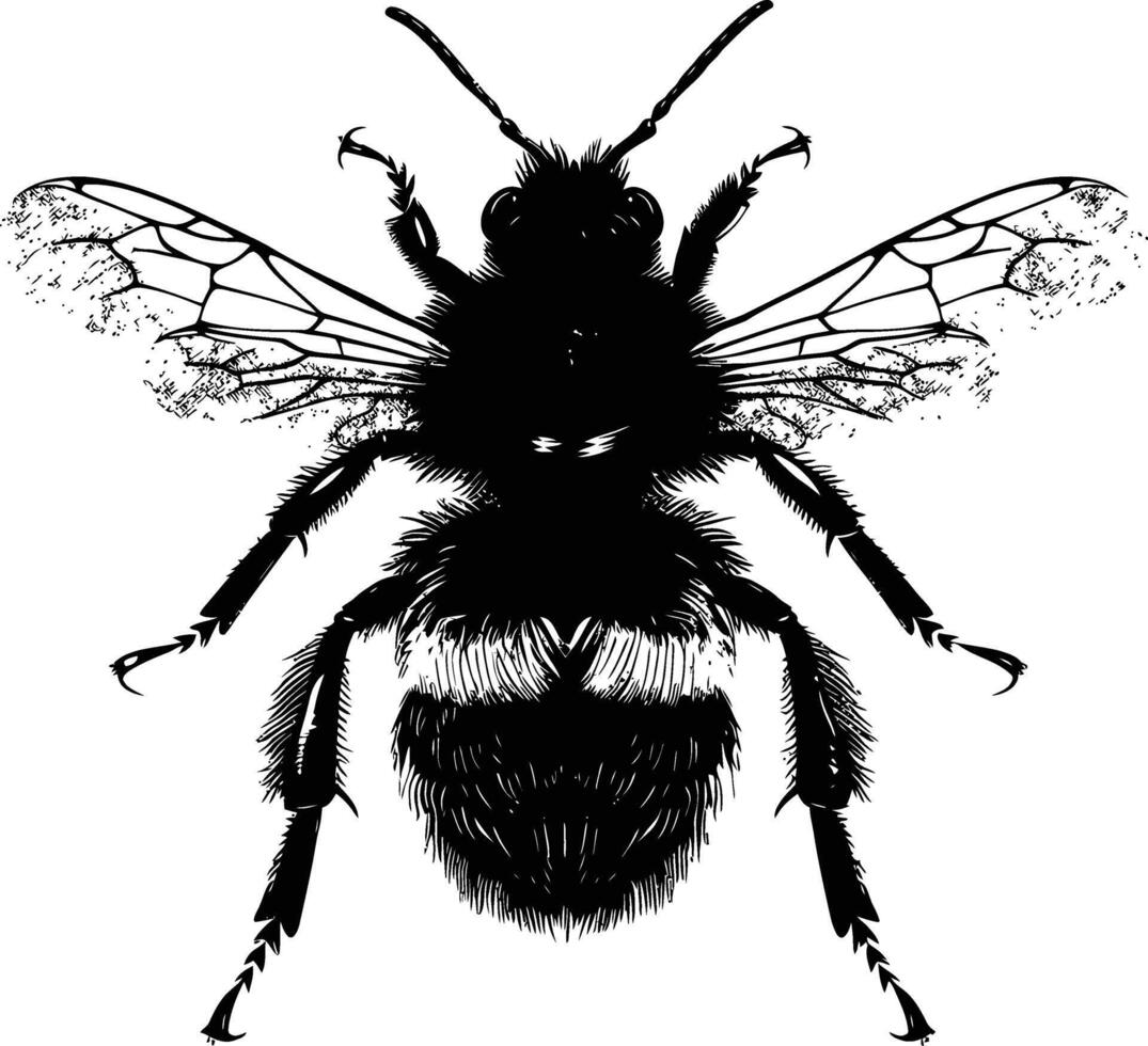 AI generated Silhouette bee animal black color only full body vector