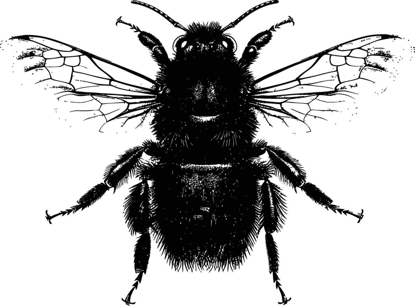AI generated Silhouette bee animal black color only full body vector