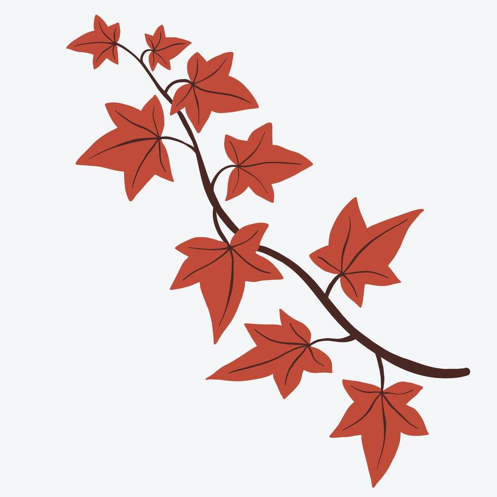 Floral ivy drawing decorative ornament flat design. vector