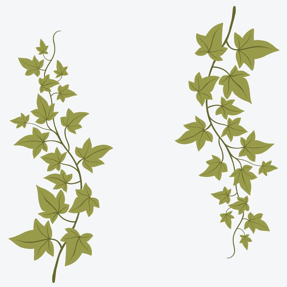 Floral ivy drawing decorative ornament flat design. vector