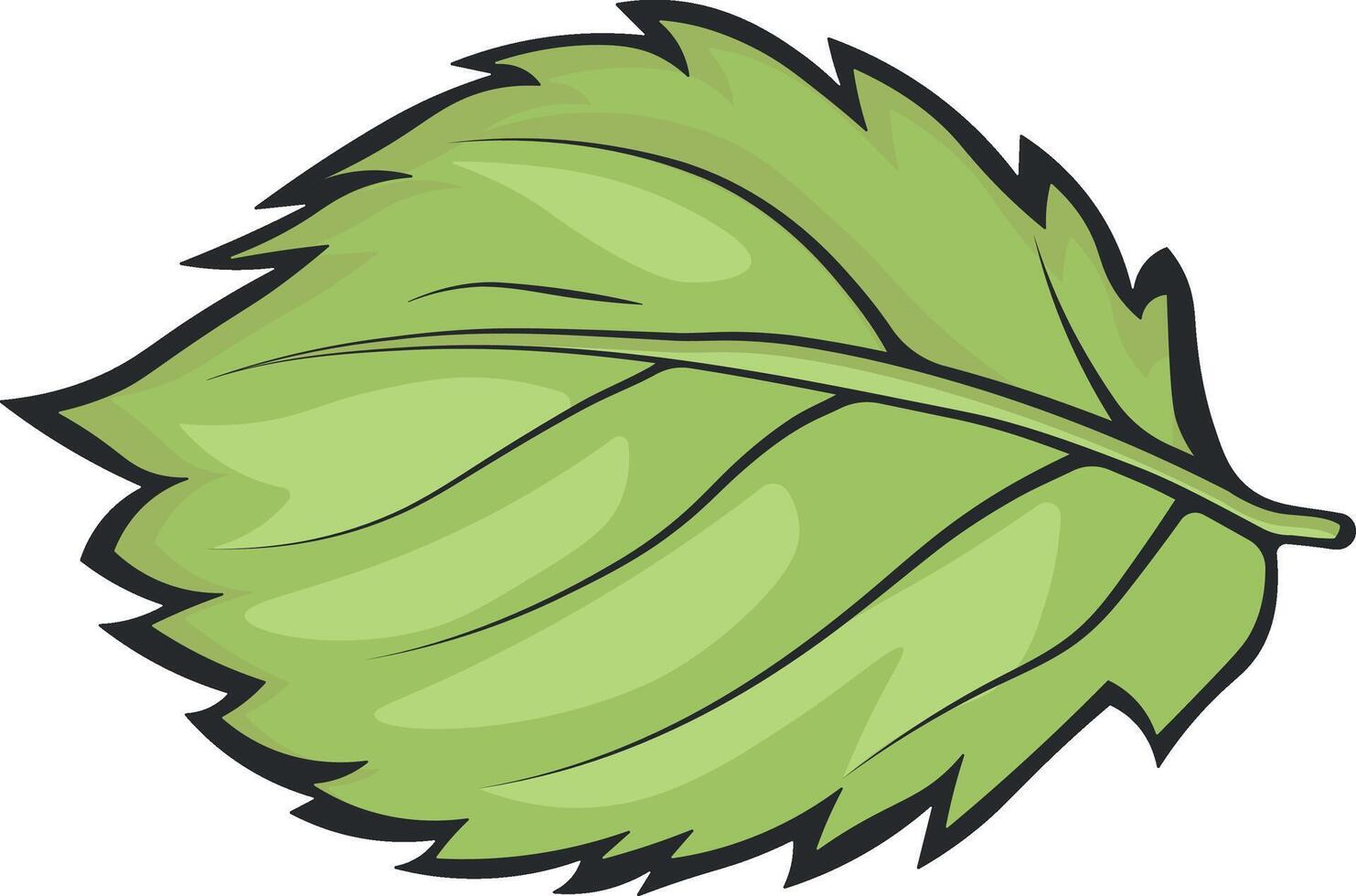 green leaf vector without background