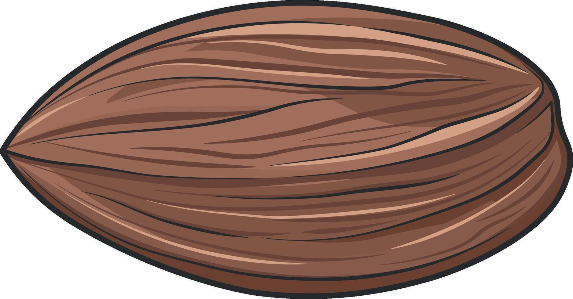 nut almond vector no background