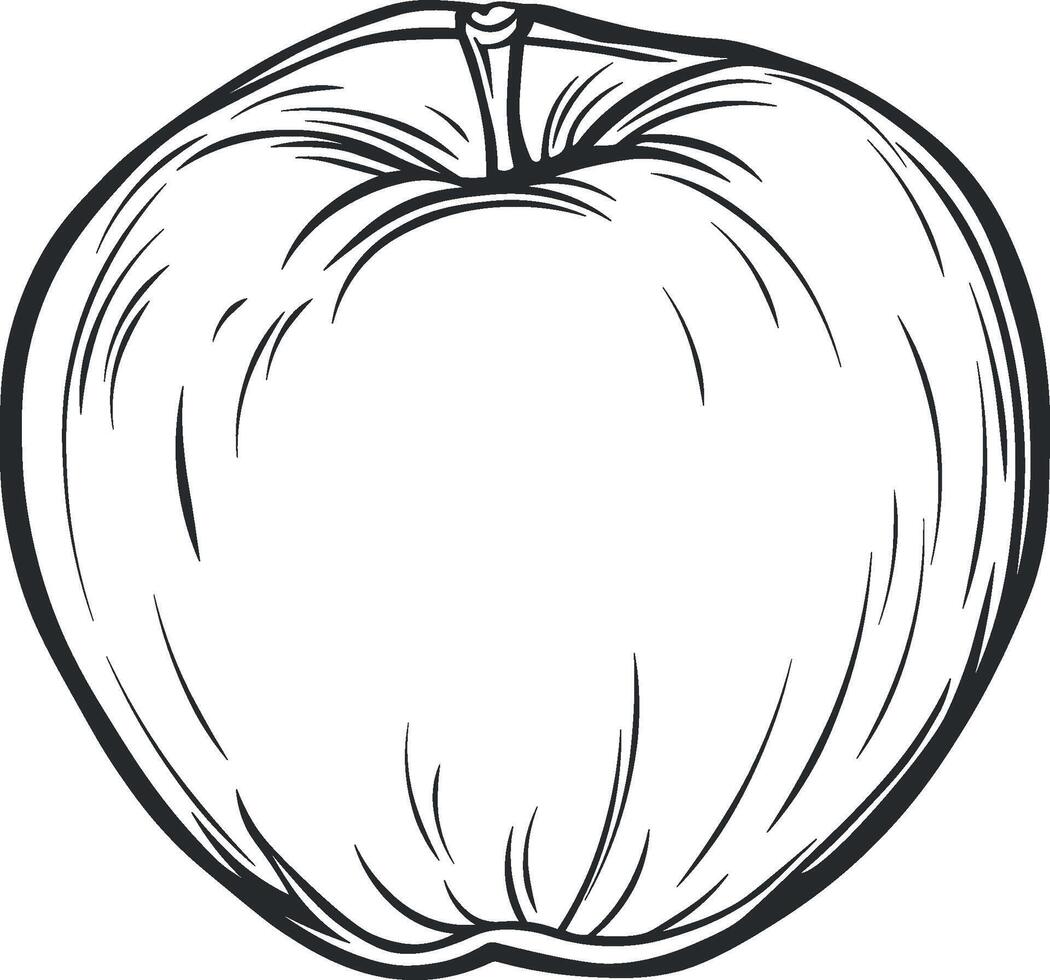 vector illustration apple without background