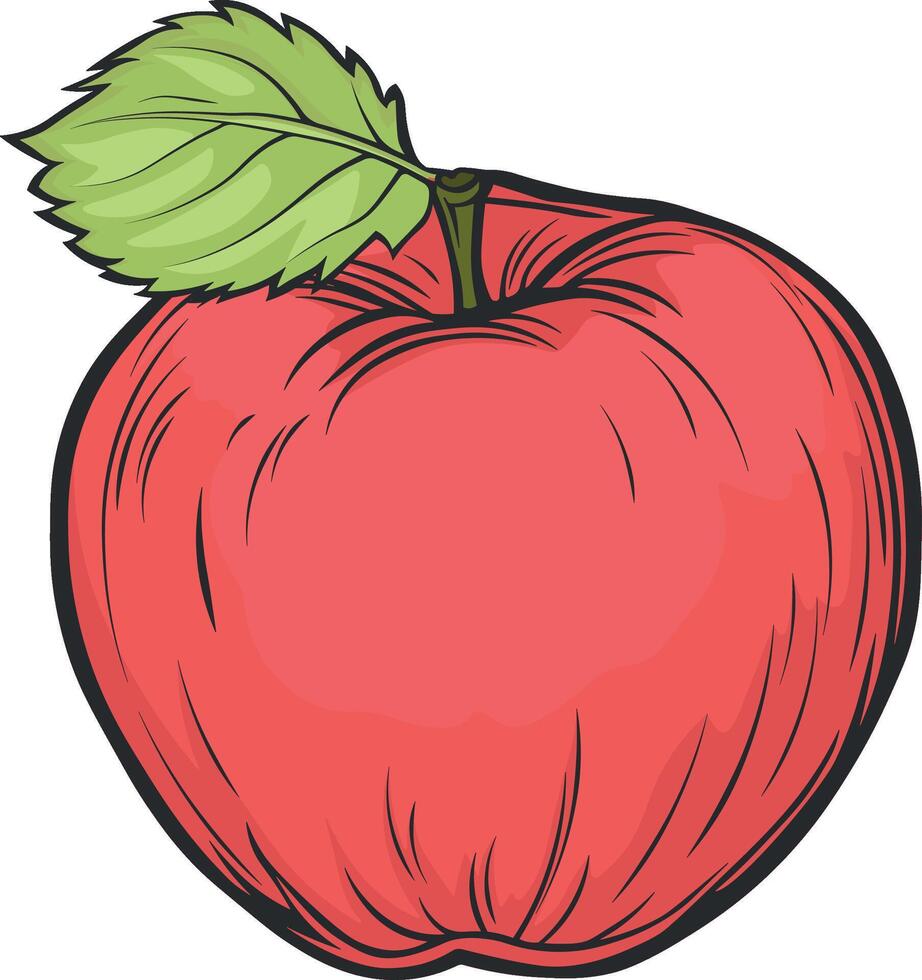 vector ilustración manzana sin antecedentes
