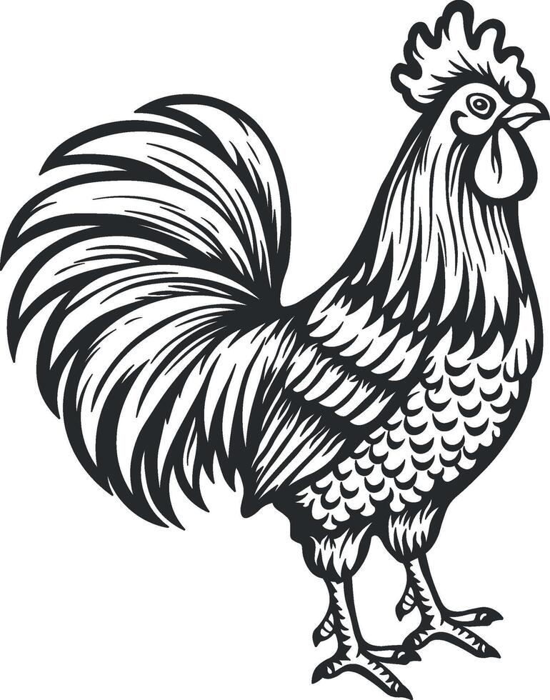 black contour silhouette of a rooster without background vector