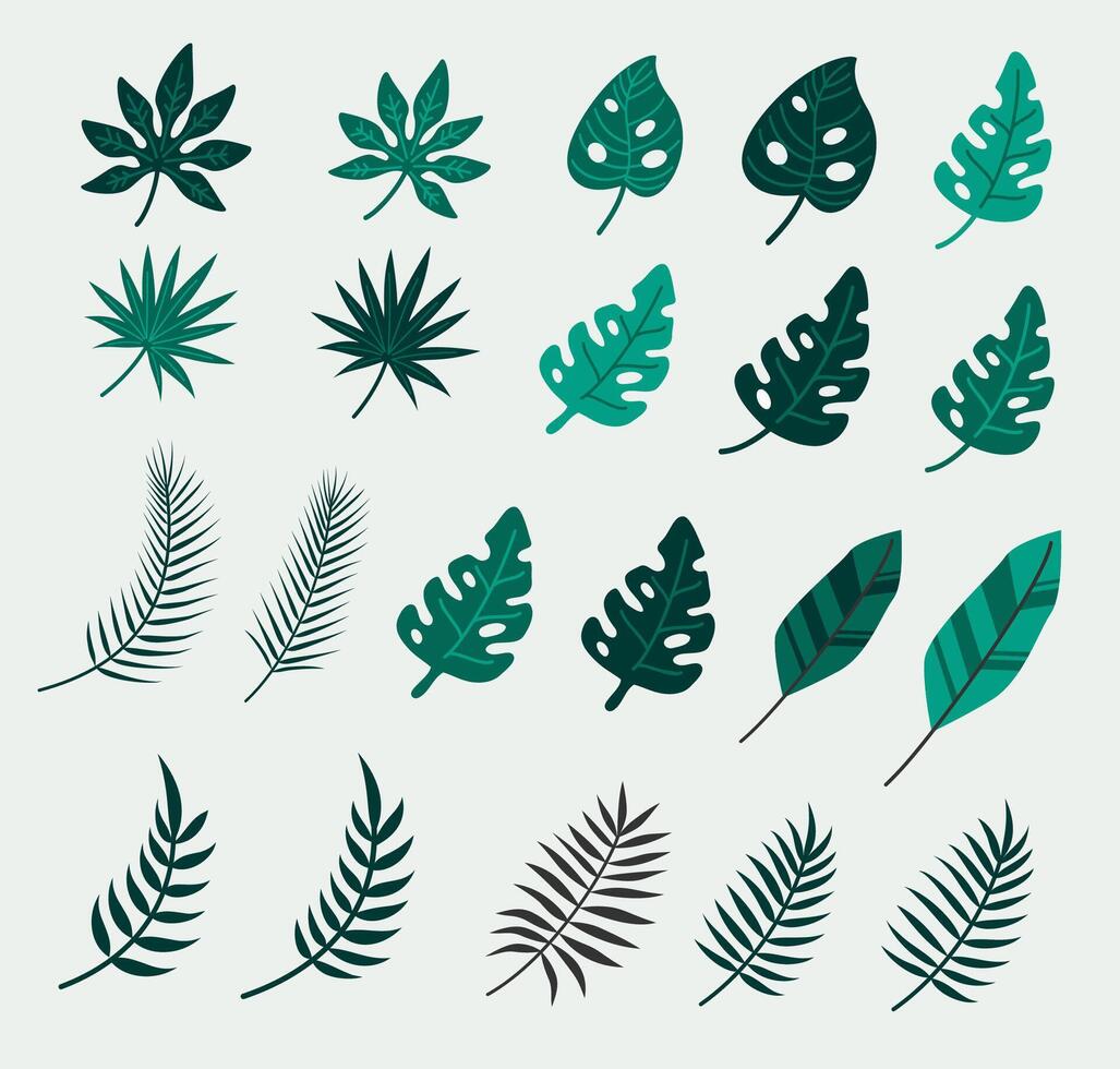 Tropical leaves collection flat vector illustration isolated with background. Hello summer. Botanical design. Summer element decoration. rainforest jingle